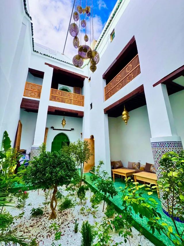 Garden courtyard with fountain, palms and white plaster walls